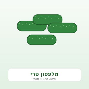 מלפפון טרי – מוצר דמו